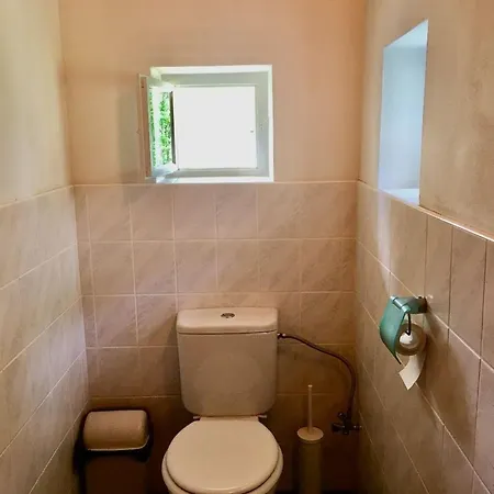 펜션 Ferienhaus Fur 9 Personen Ca 125 Qm In Korenov, Sudetengebirge Tschechien Riesengebirge Tschechien *